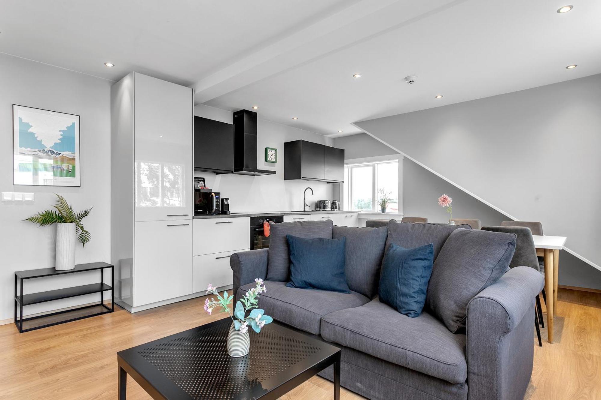 Apartment Eiriksgata By Heimaleiga *