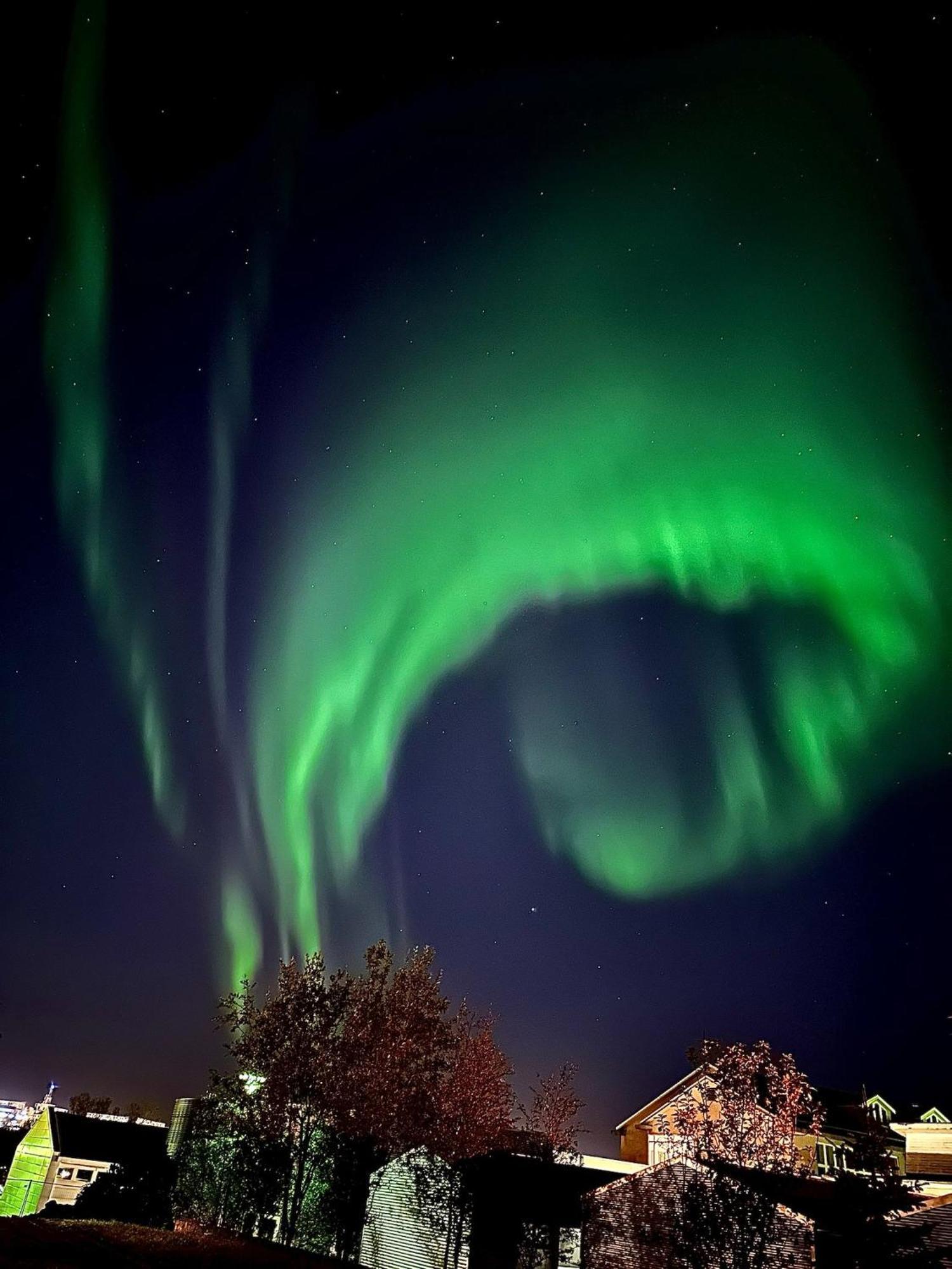 Casa Disa: Boutique In Reykjavik's Park Homestay