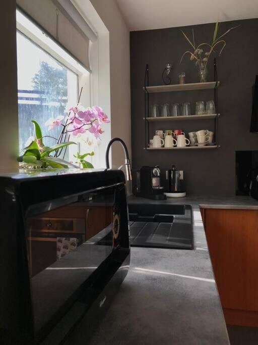 Cozy Free Parking Apartment Reykjavik