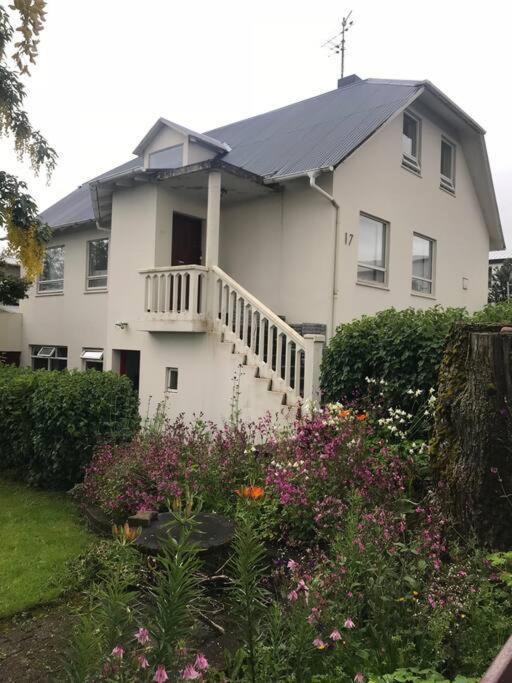 Cozy Free Parking Apartment