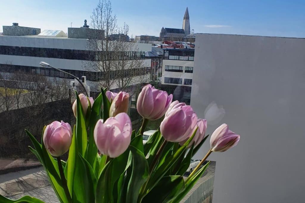 Lovely Modern 1-bedroom Apartment, Free Parking * Reykjavík