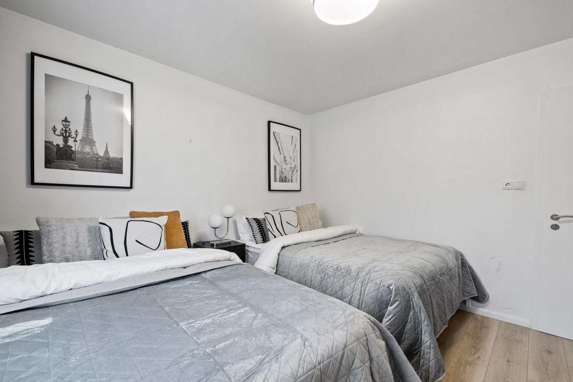 Cozy And Reykjavík
