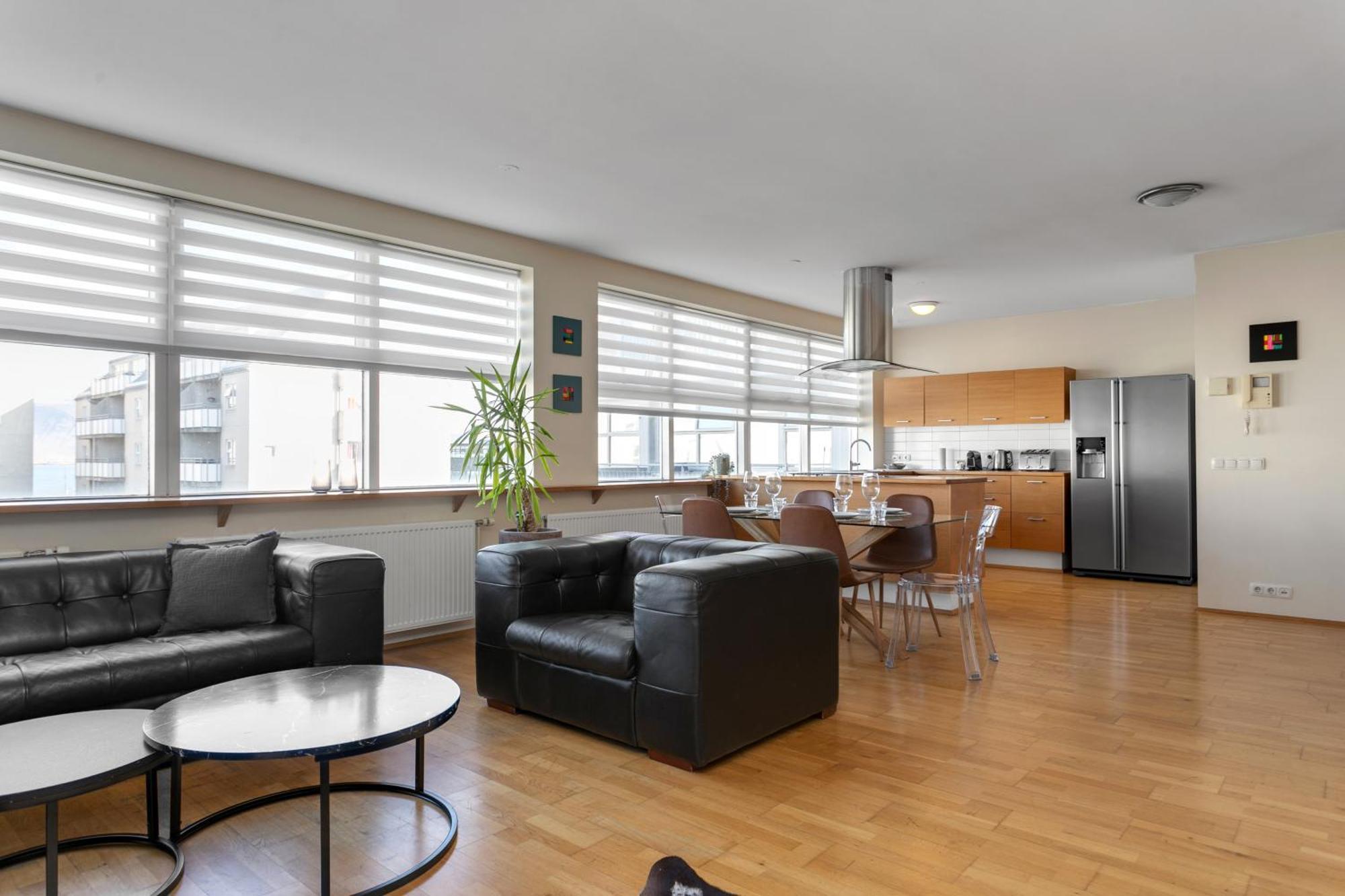 Baldursbra Hverfisgata Apartment Reykjavik