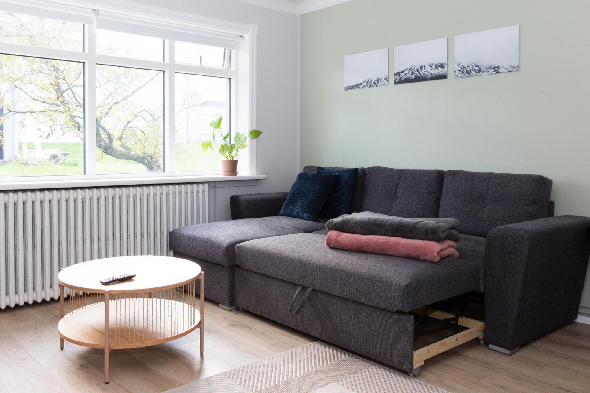Lali Full Apartment Reykjavik