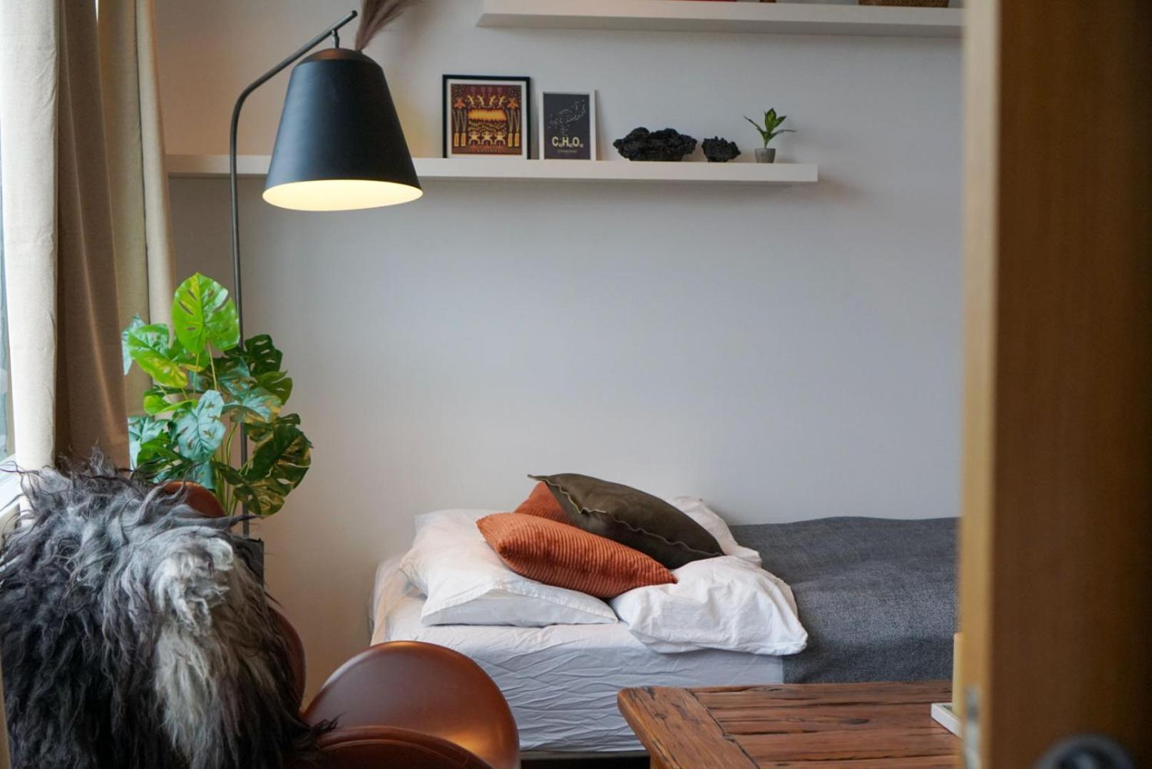 Apartment Laugavegur Penthouse Reykjavik