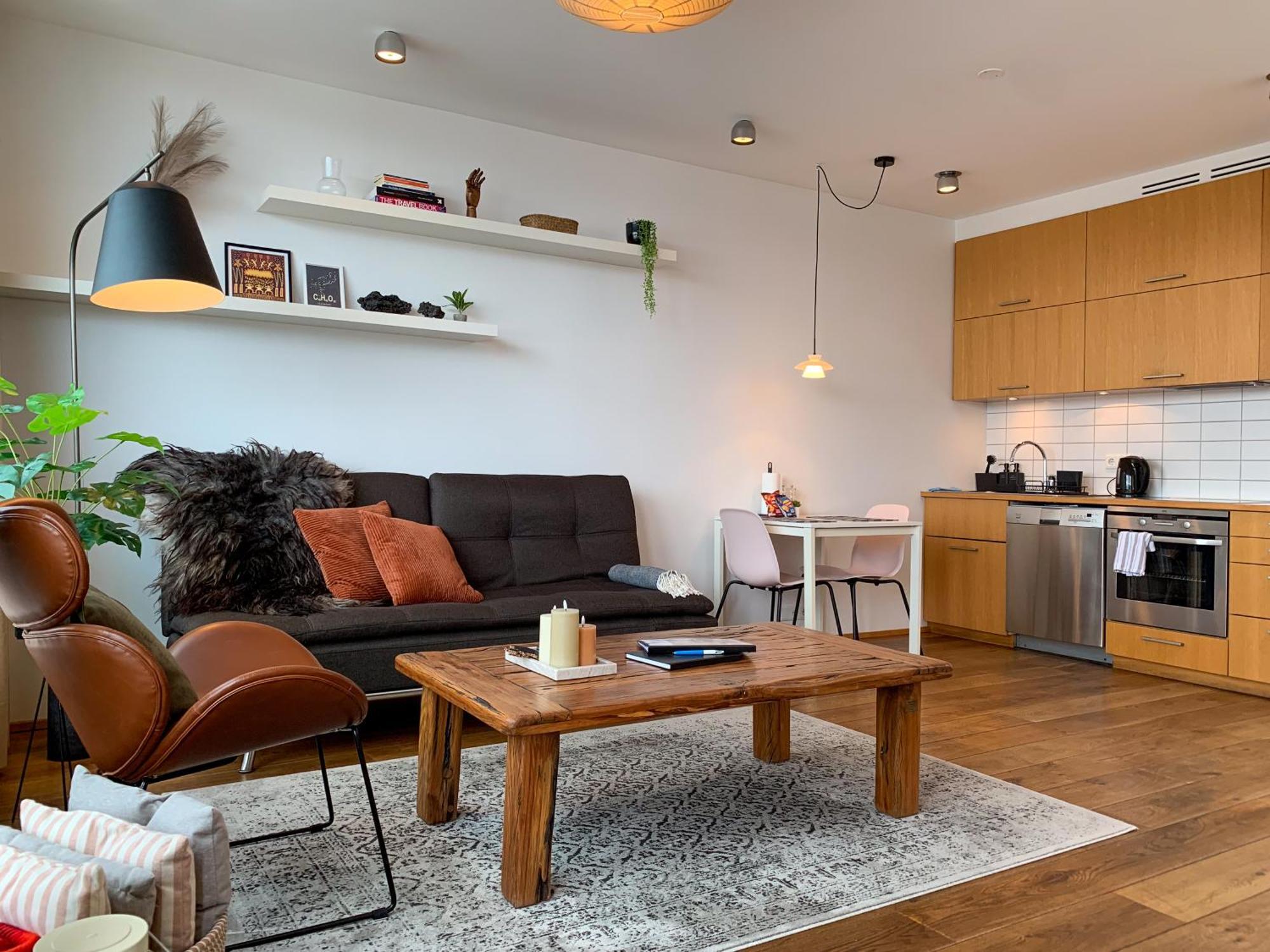 Apartment Laugavegur Penthouse