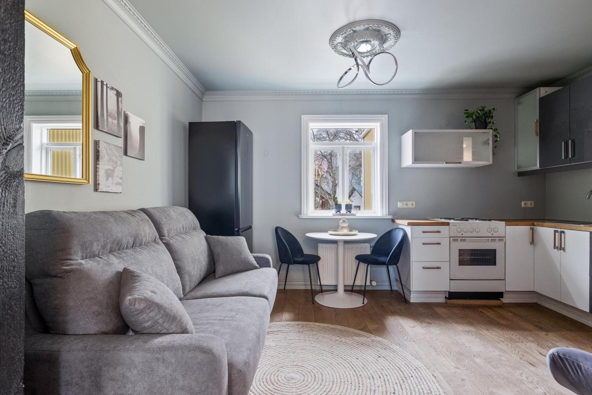 The Center Of Downtown Appartement Reykjavík