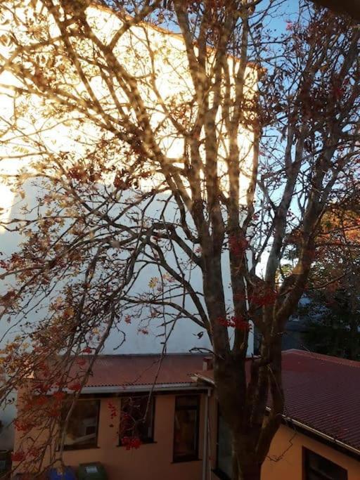 Beautiful In The Heart Of Apartamento *