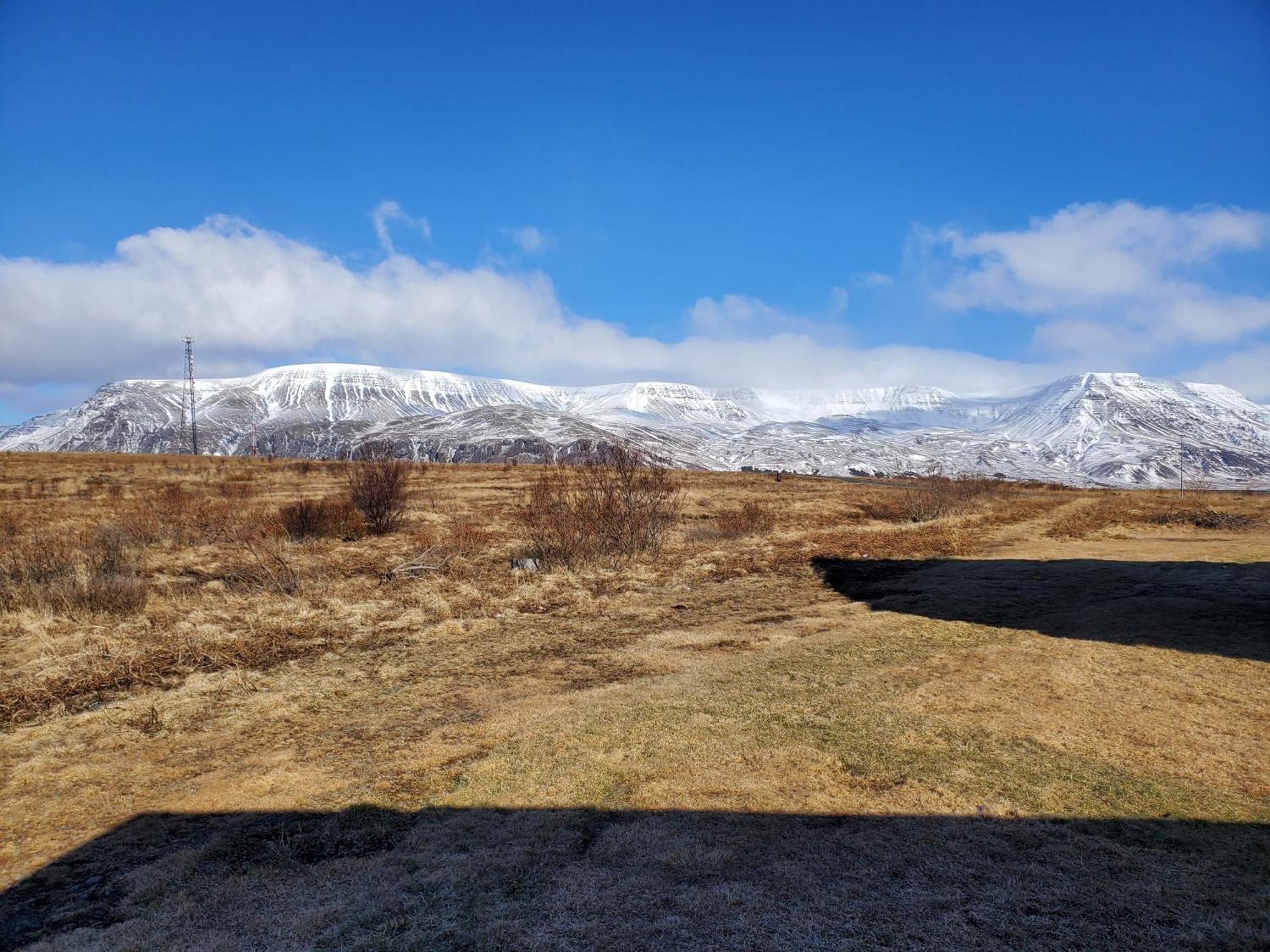 Vithines * Reykjavik