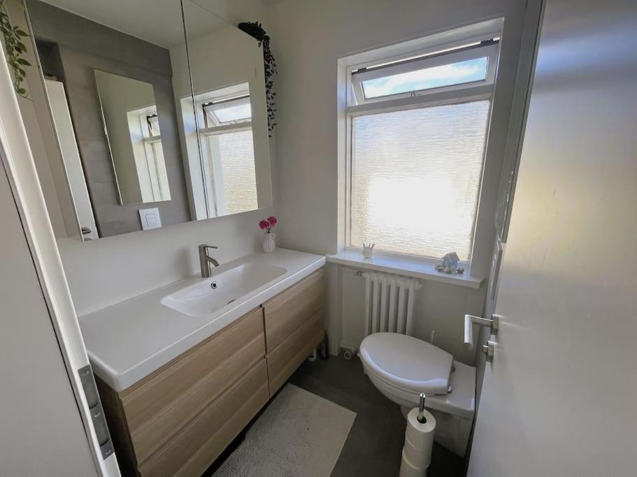 Cozy Near Downtown Apartment
