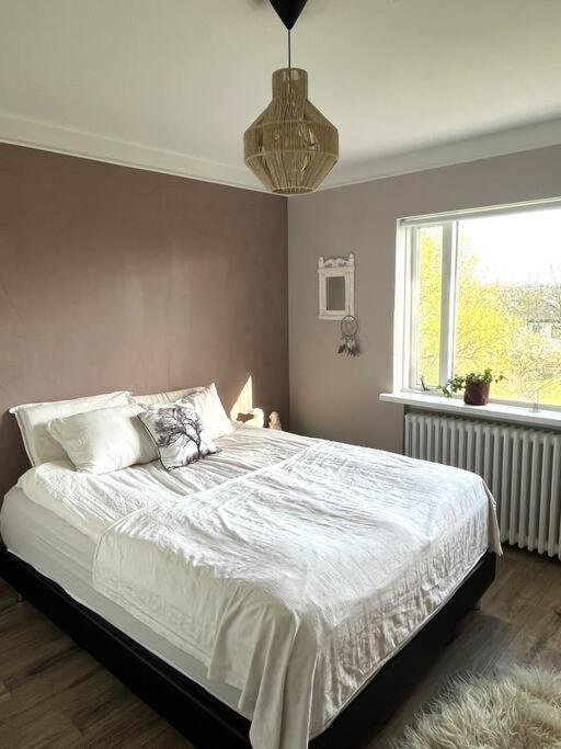 Apartment Cozy Near Downtown Reykjavík