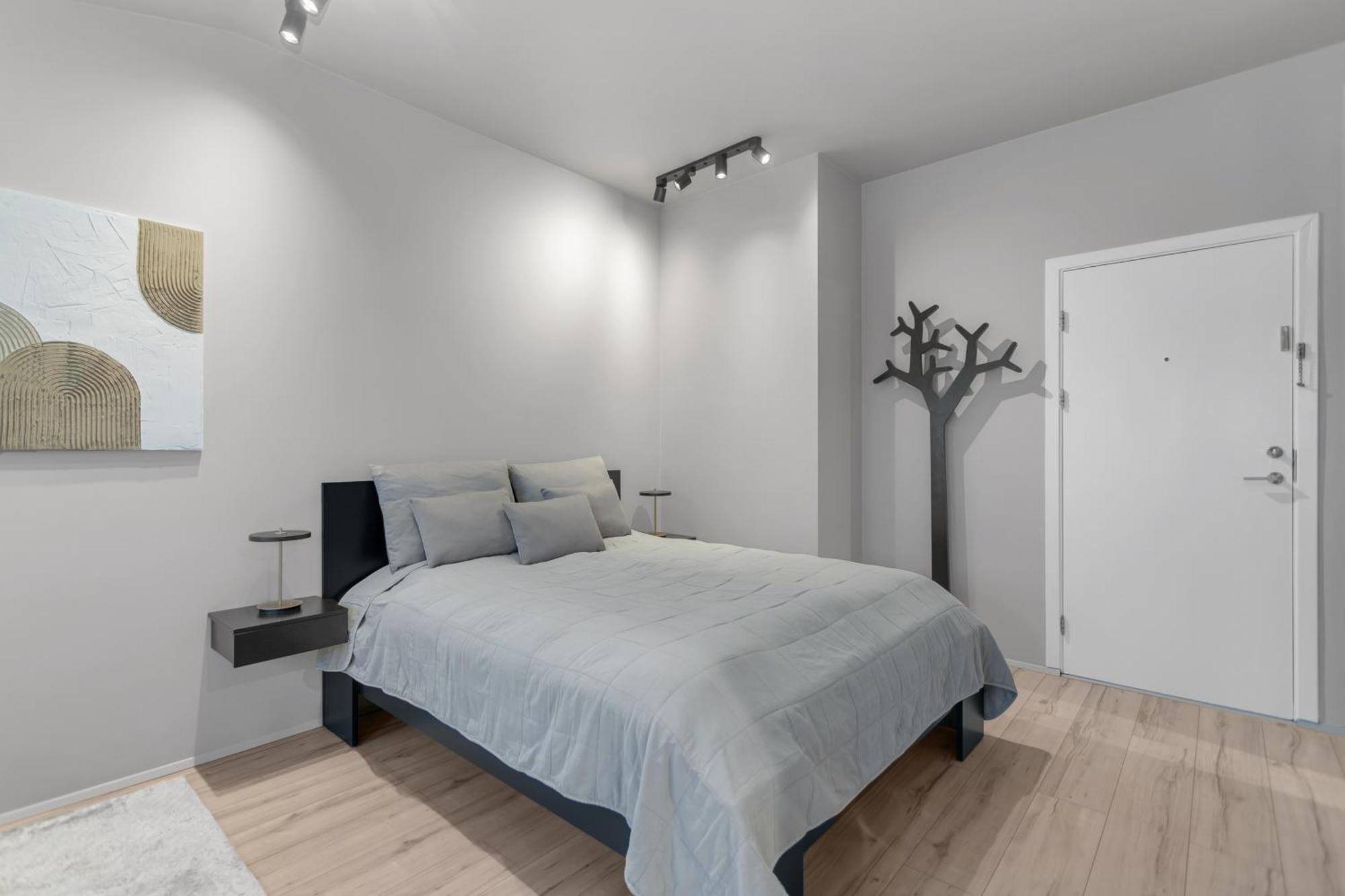 Cozy Downtown Apartment