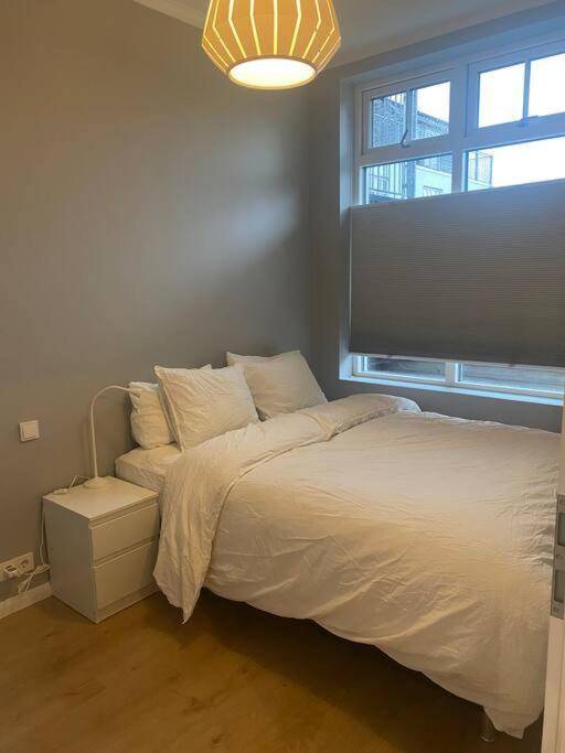 Modern Rvk Center *