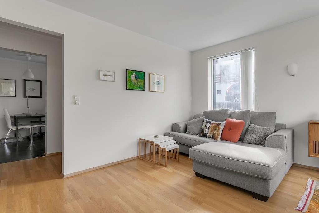 Good Location And Lovely In Apartment Reykjavik