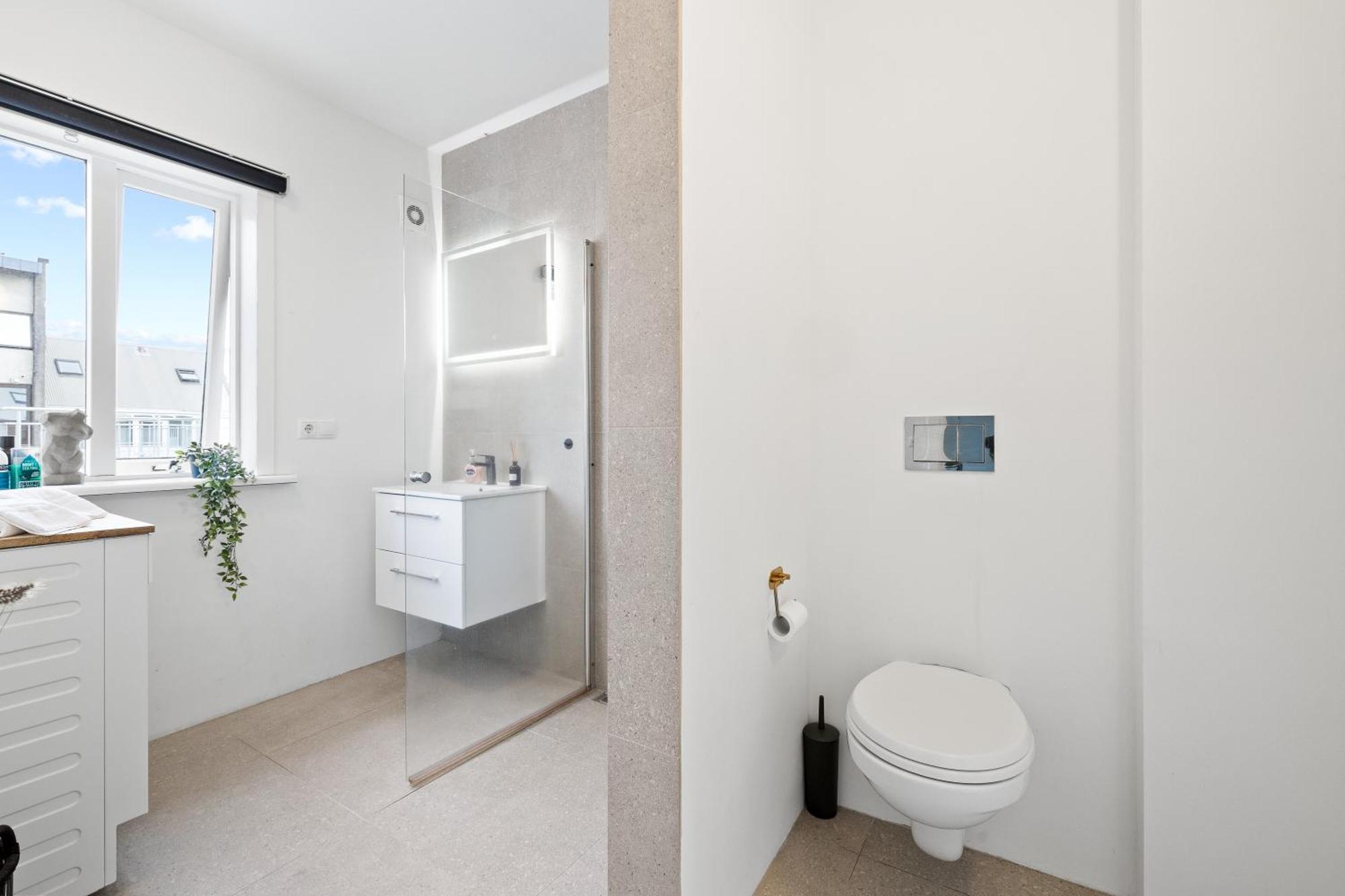 Cozy And Reykjavík