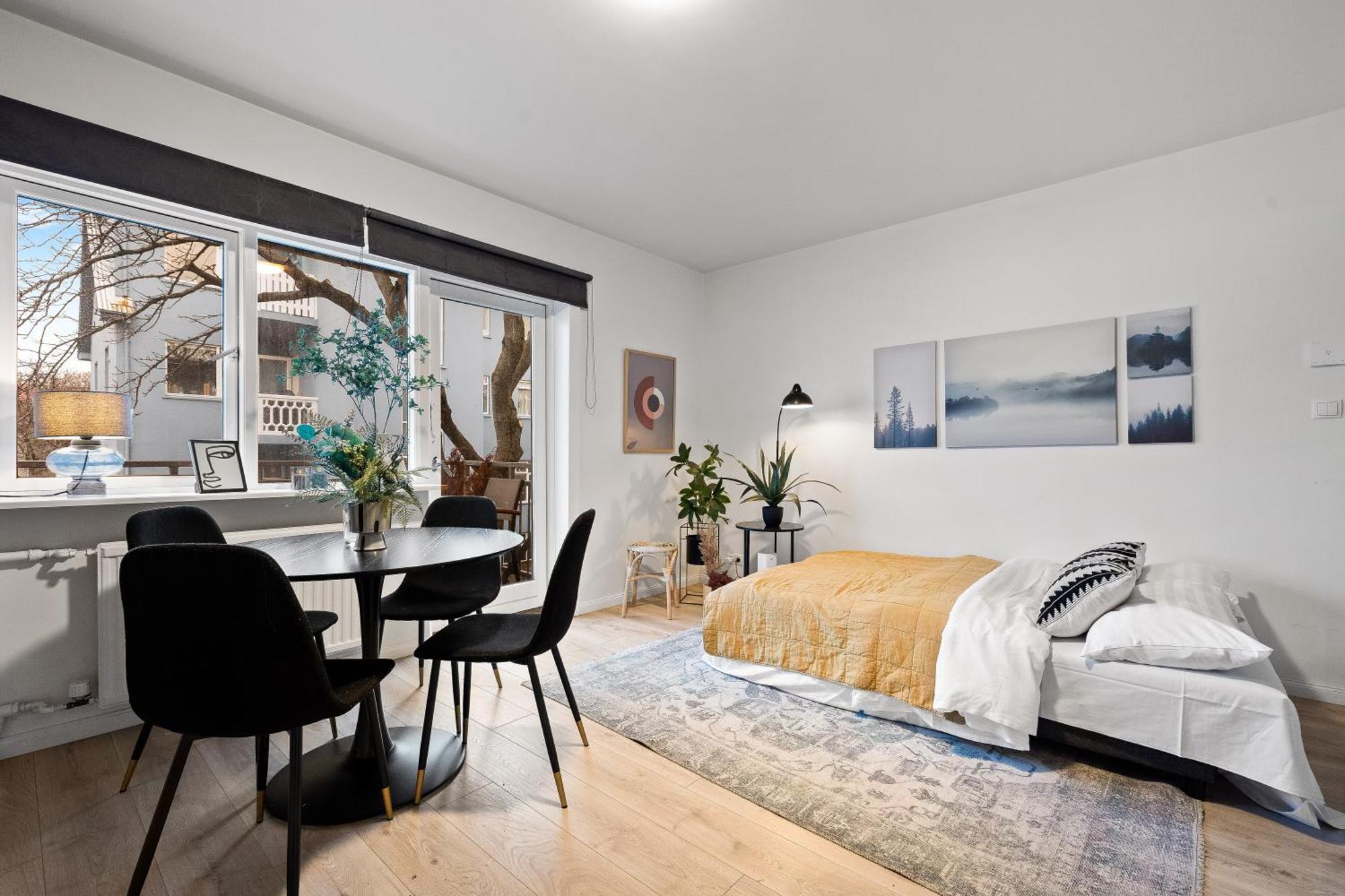 Cozy And Reykjavík