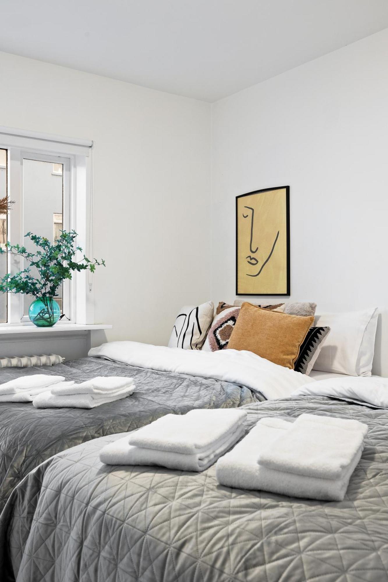 Cozy And * Reykjavík