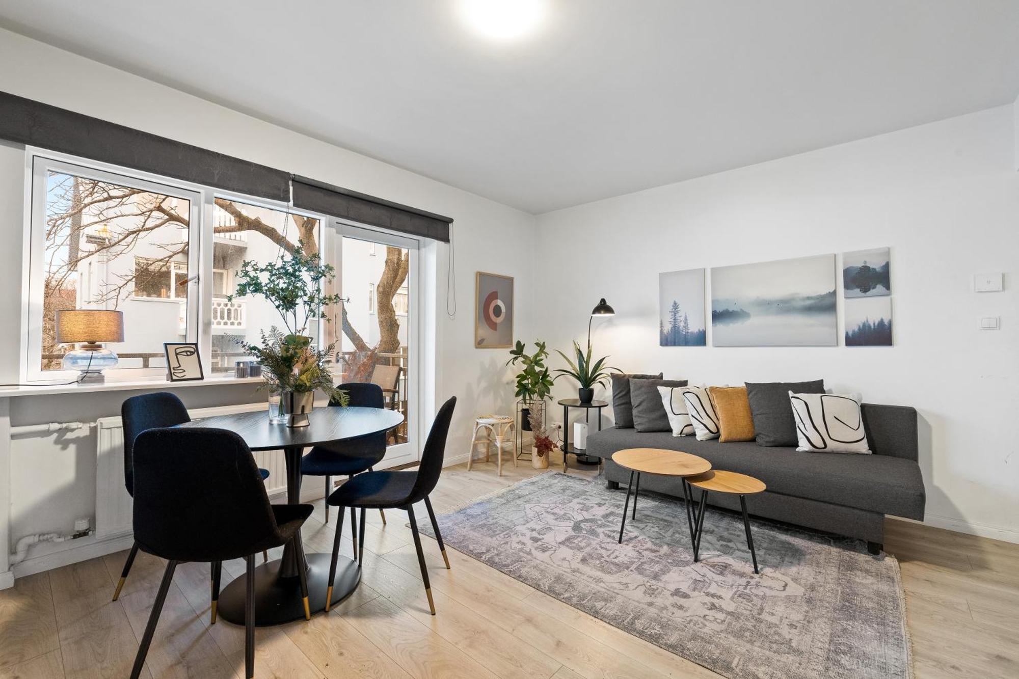Apartment Cozy And Reykjavík