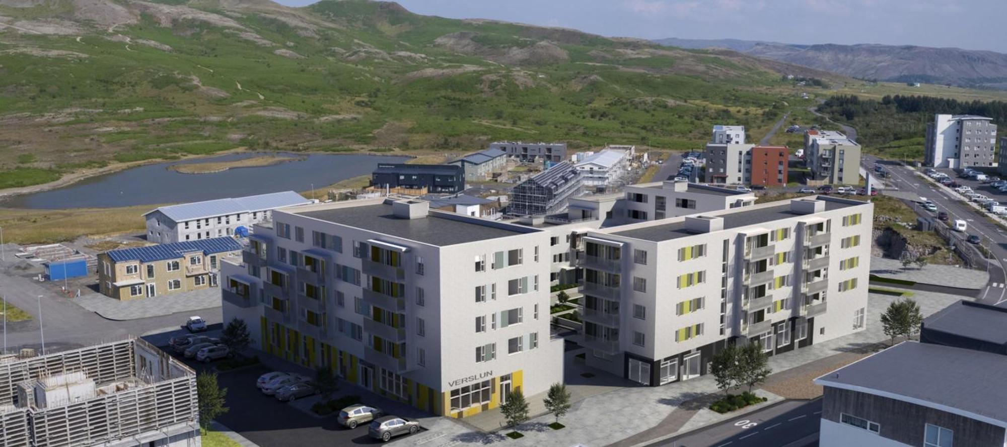 Modern Flat In Reykjavik, Ulfarsardalur