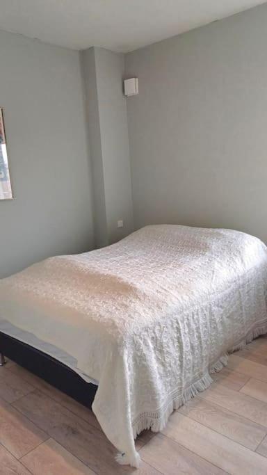 Apartment J8 Rvk