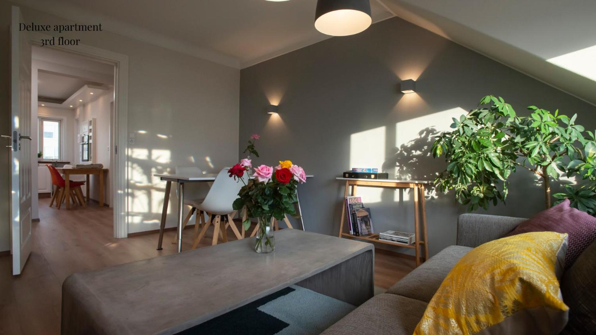 Apartments Reykjavik Apartment