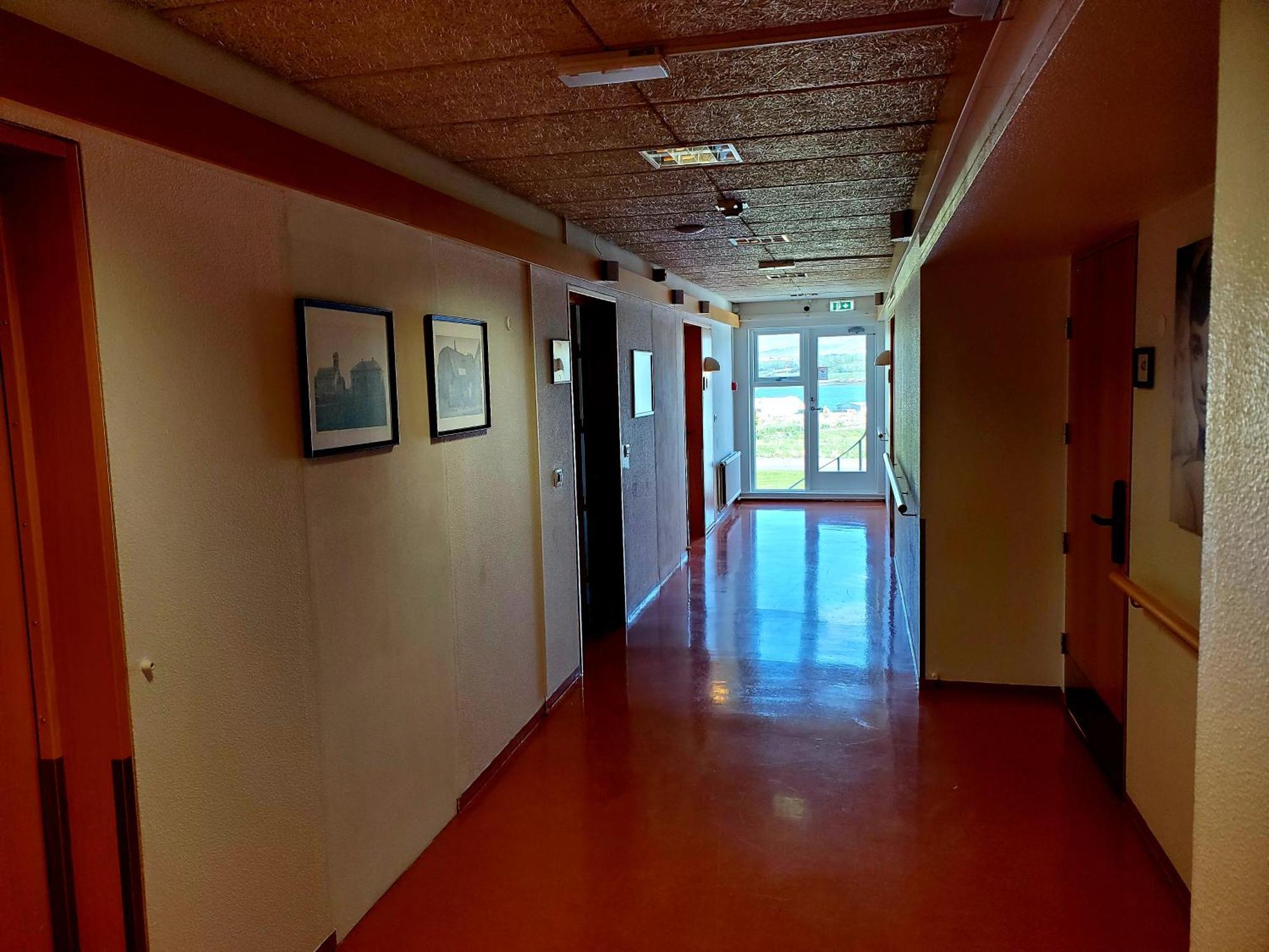 Vithines Reykjavik