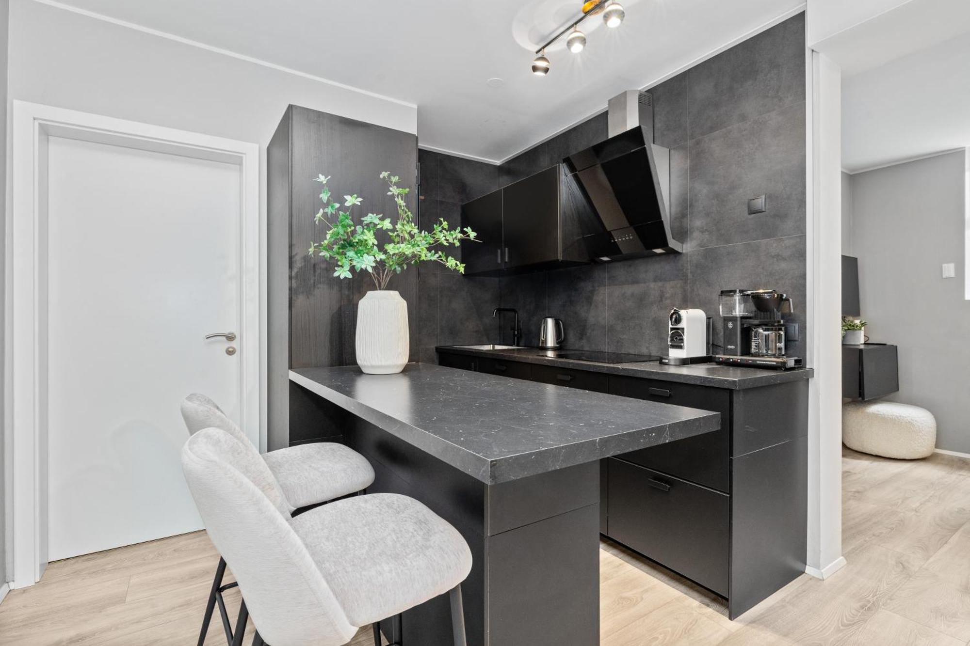 Apartment Vatnsstigur