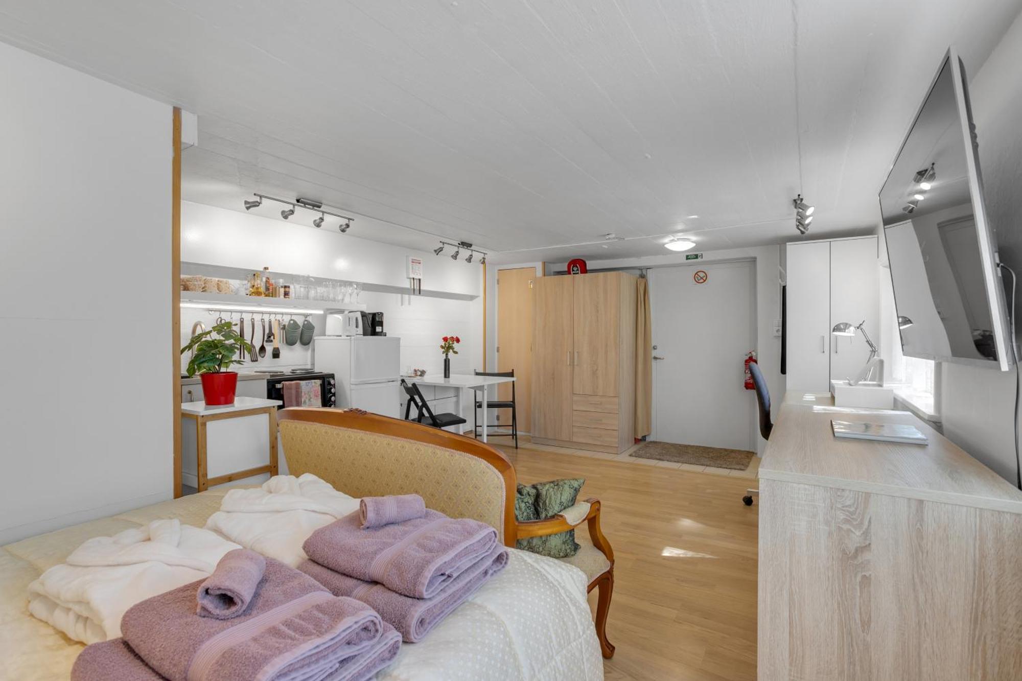 Appartement Lara In Laugardalur Valley, Park And Botanical Garden, Private Entrance, Free Private Parking On Side *