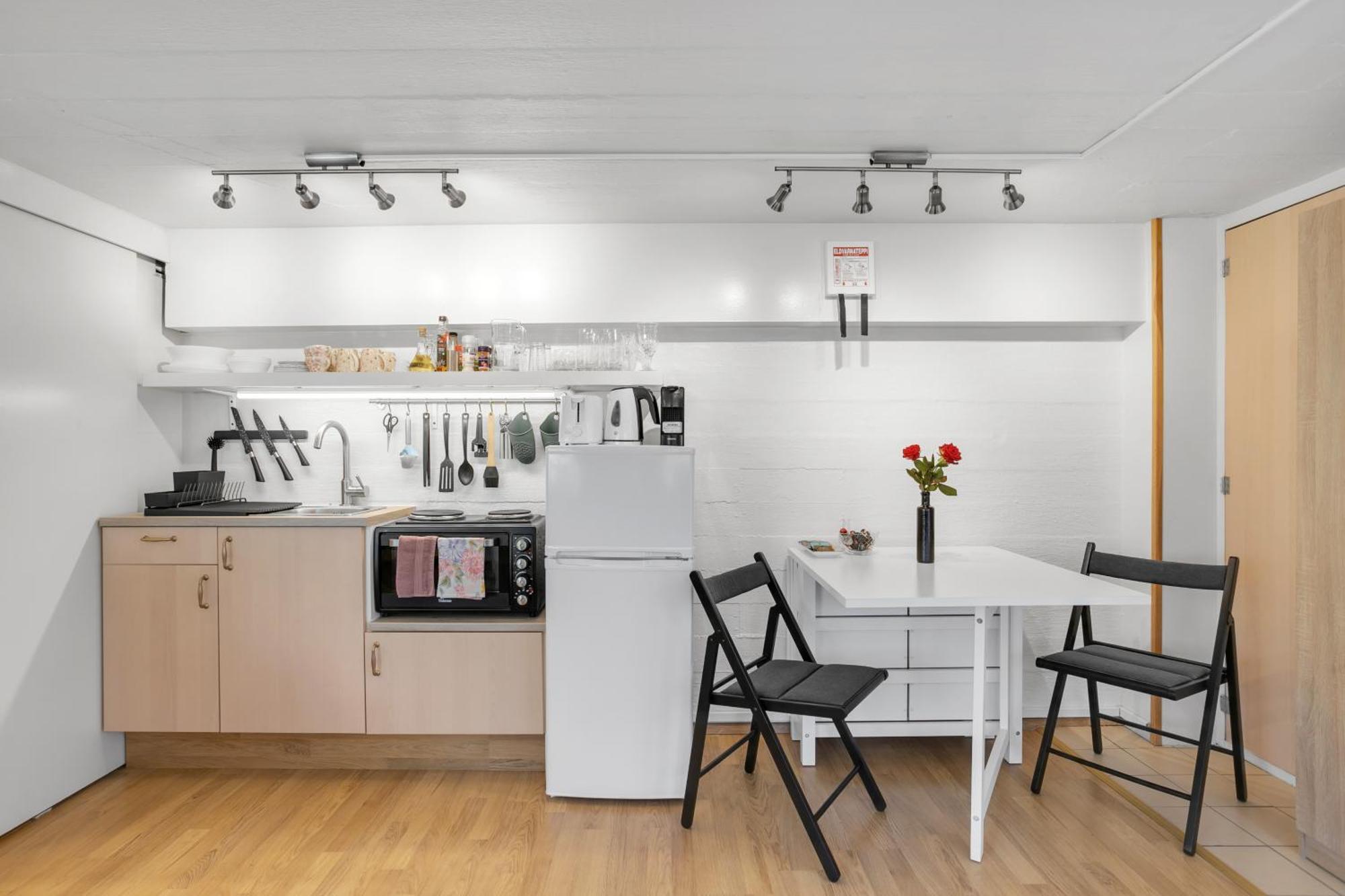 Appartement Lara In Laugardalur Valley, Park And Botanical Garden, Private Entrance, Free Private Parking On Side