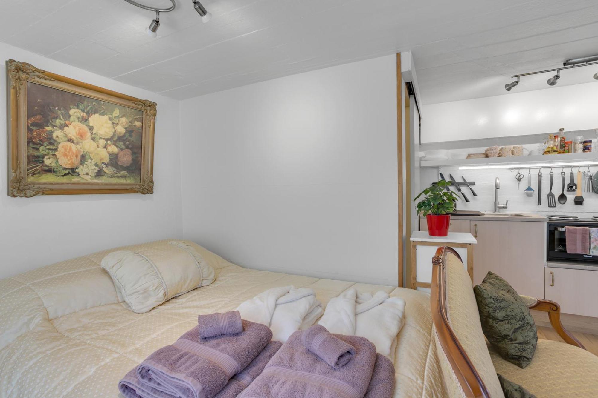 Appartement Lara In Laugardalur Valley, Park And Botanical Garden, Private Entrance, Free Private Parking On Side *