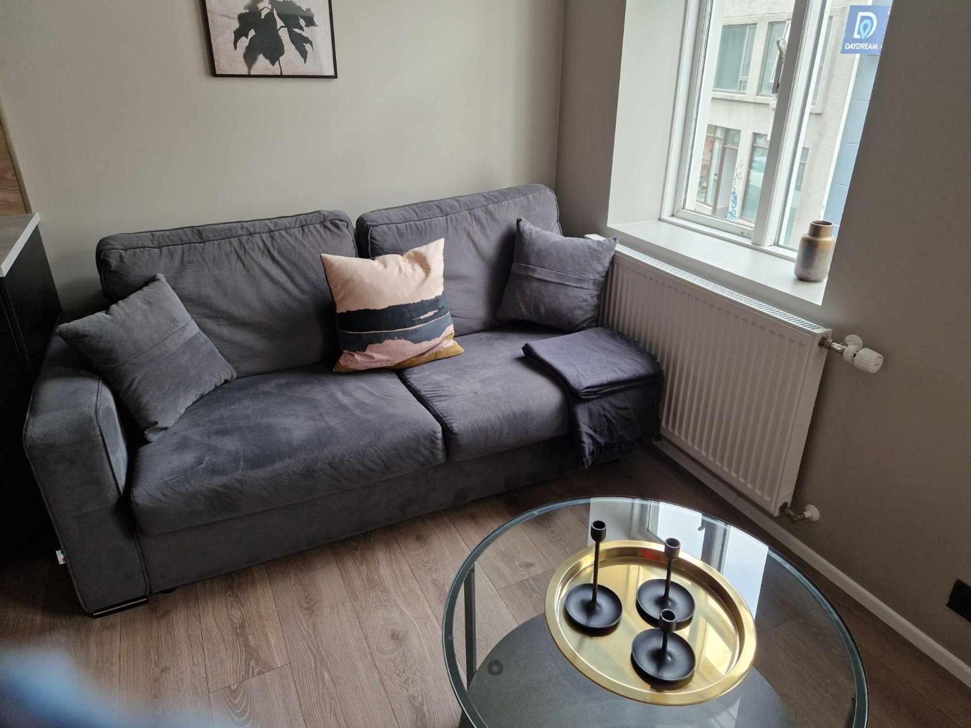 Vesturgata Apartment *