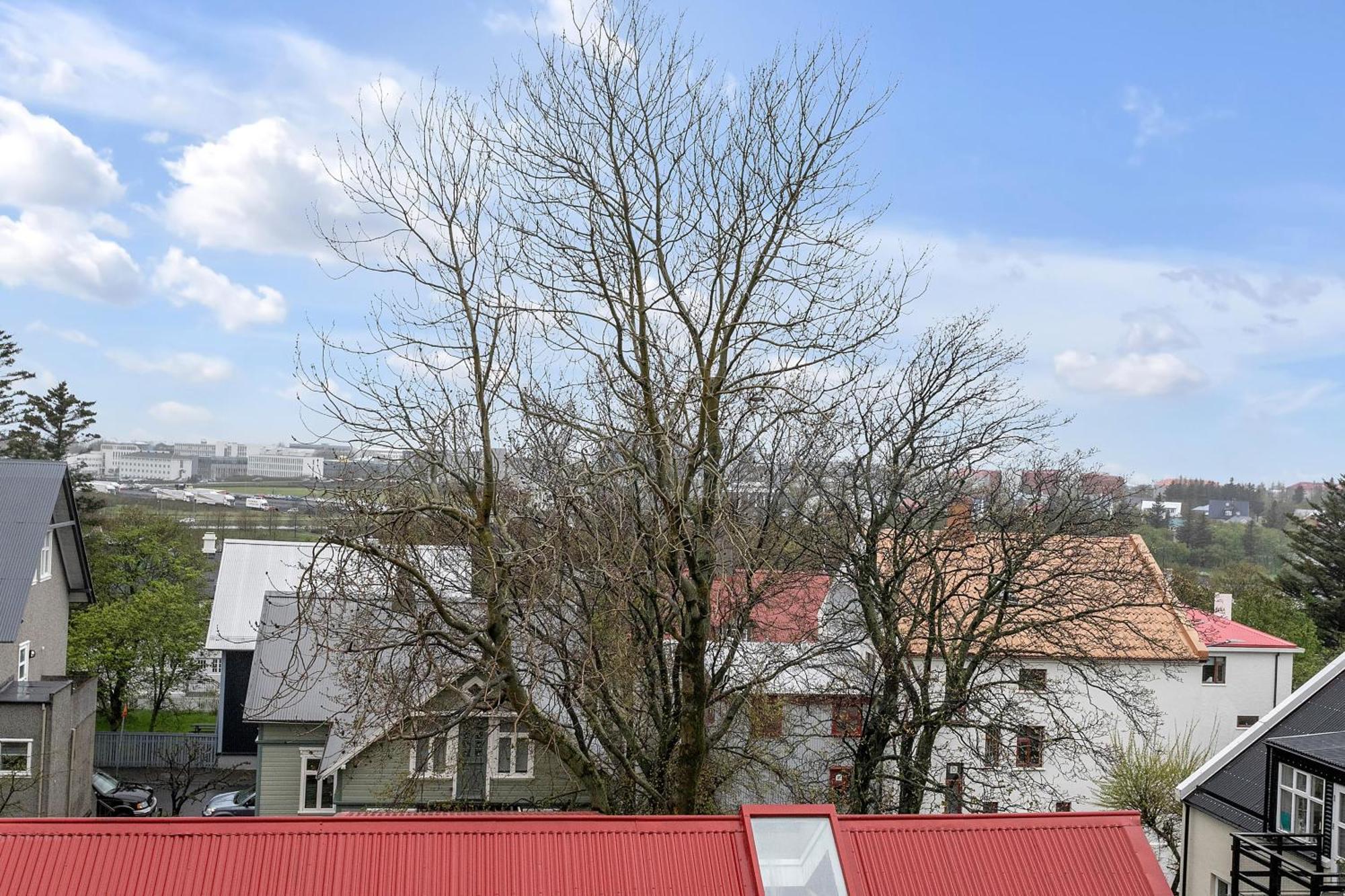 Sunny * Reykjavik