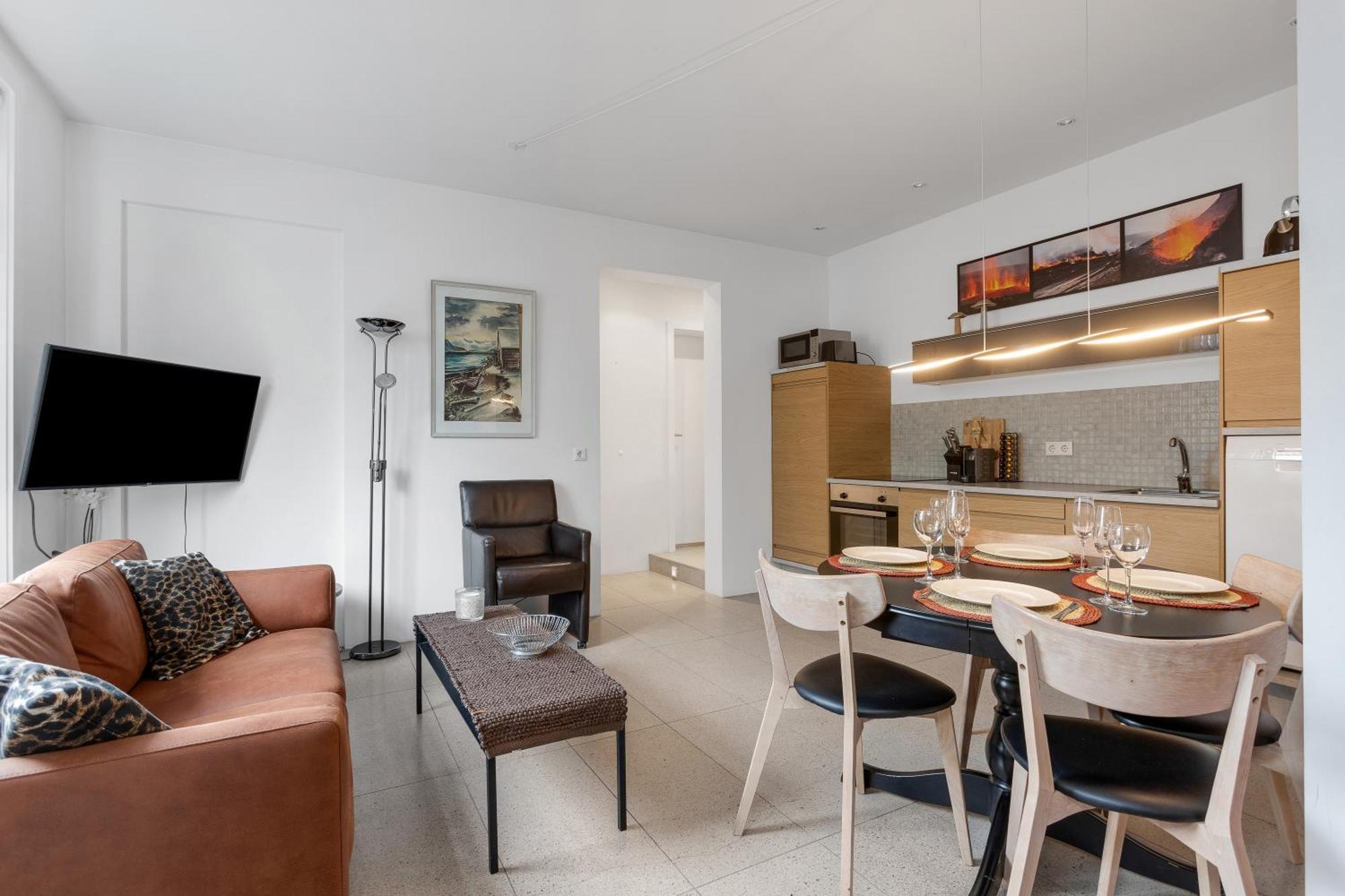Luxury Apartment
