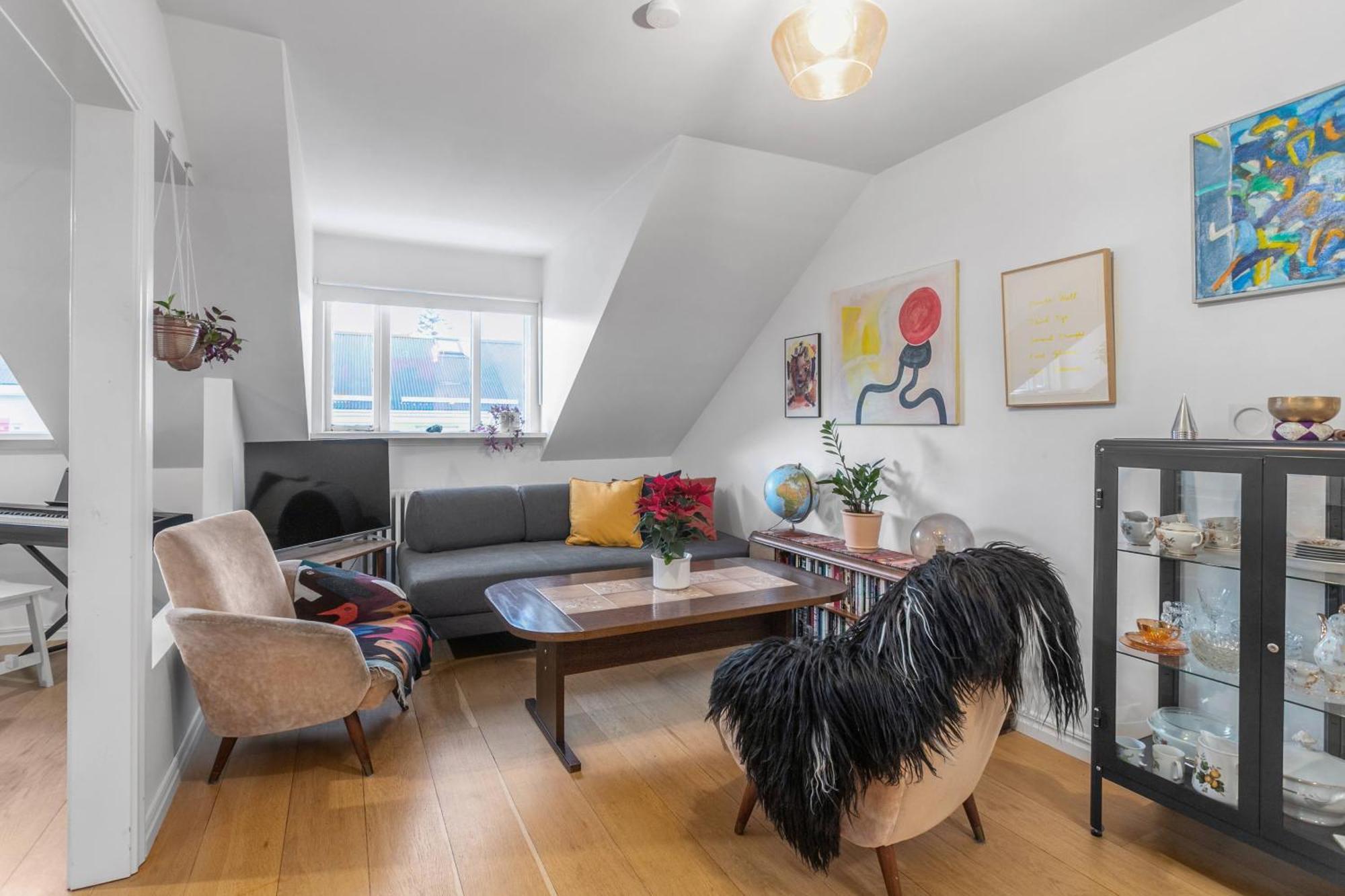 Cosy And Bright Rooftop Apartment Reykjavik