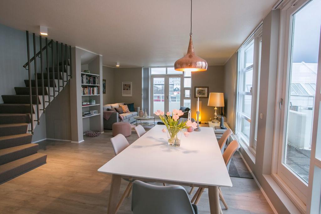 Penthouse Downtown With Free Parking Reykjavik