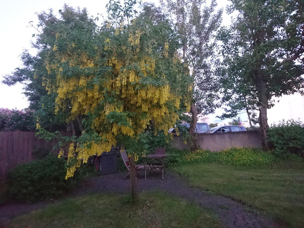 Gasthuis Alba Reykjavík