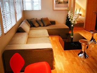 Luxury Apartment *
