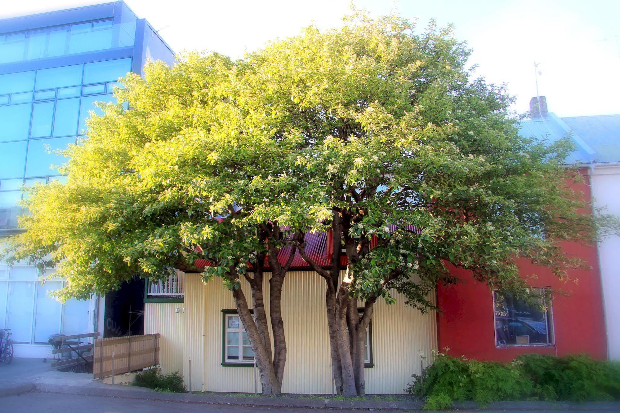 Casa de hóspedes Grettir 2*