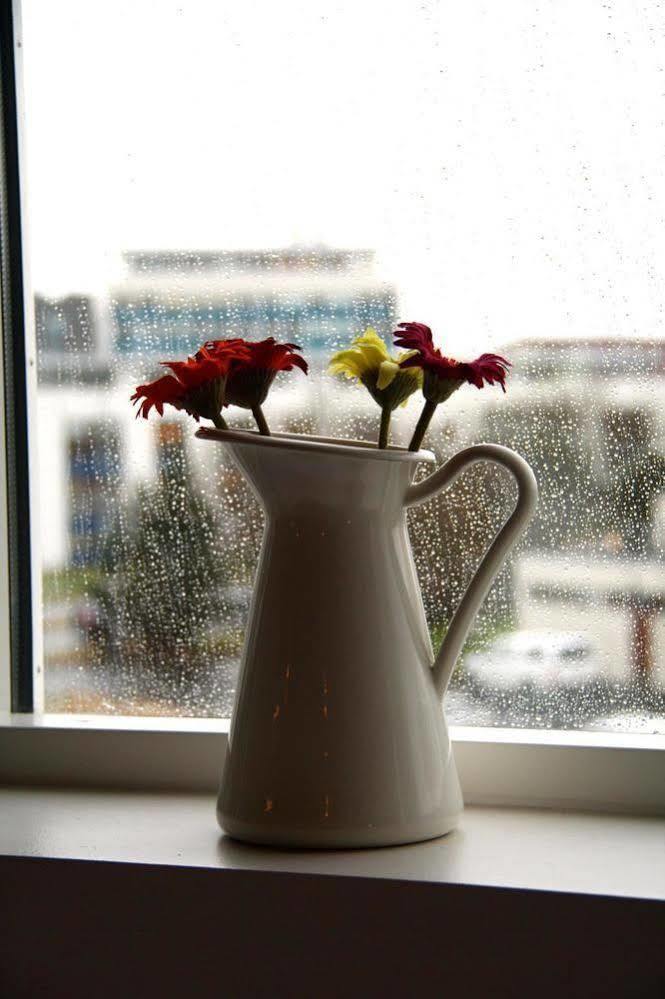 Bolholt * Reykjavík