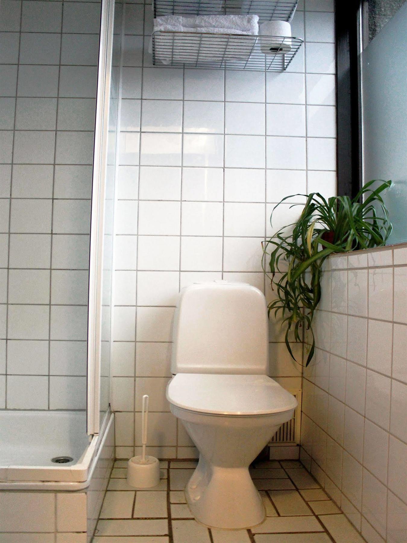 Downtown Hotel 3*