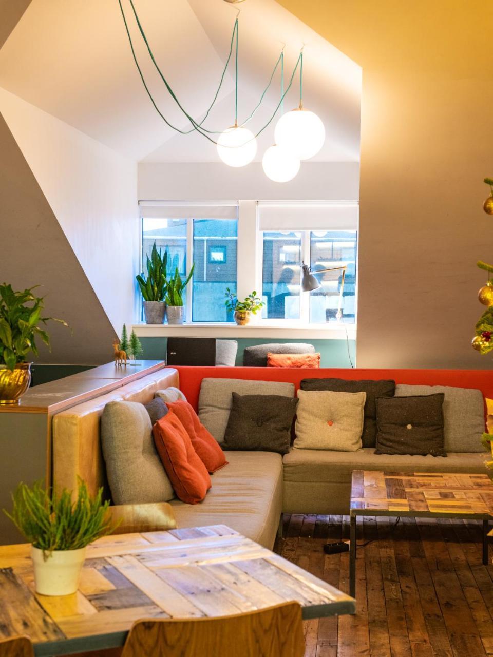 Loft - Hi Eco *