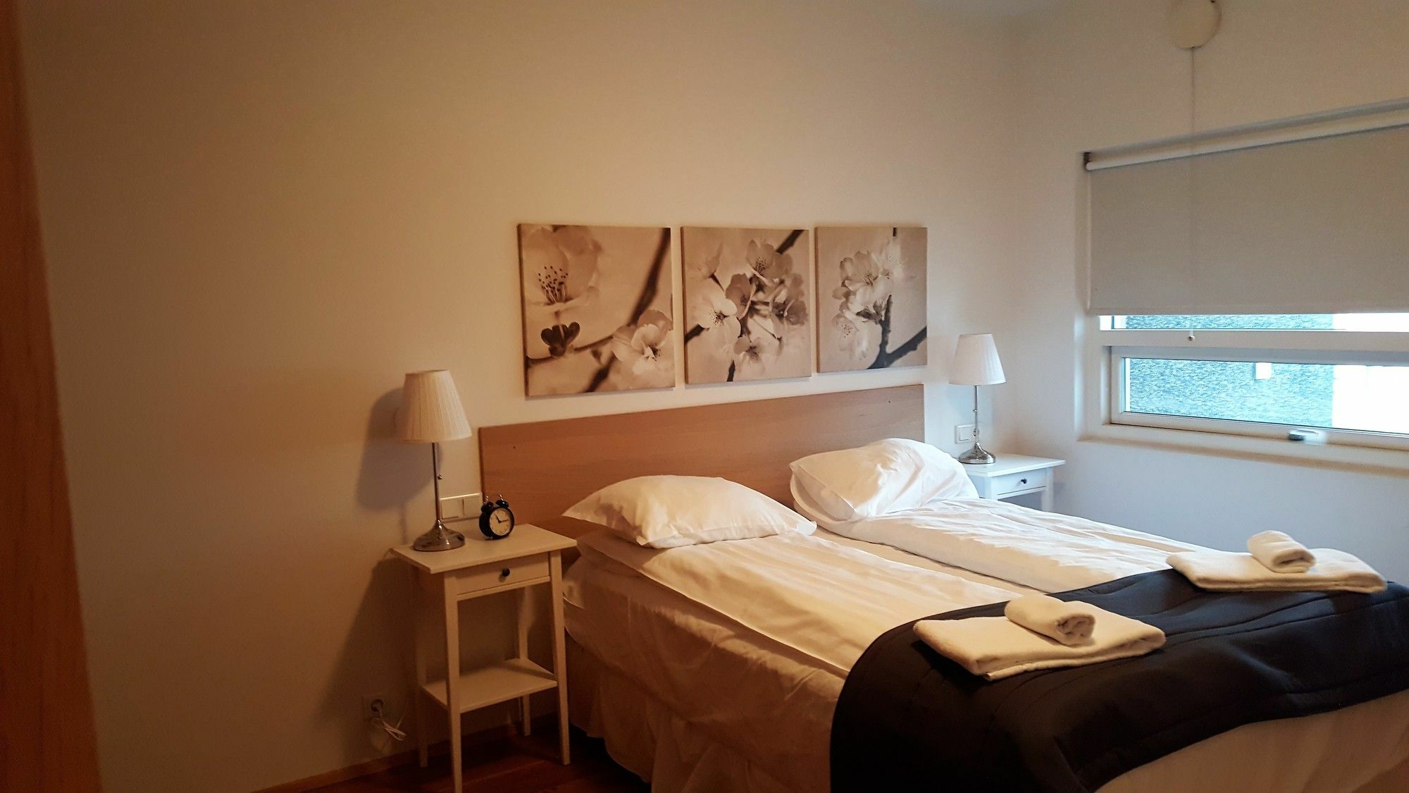 Central Premium Luxury Apartments * Reykjavik