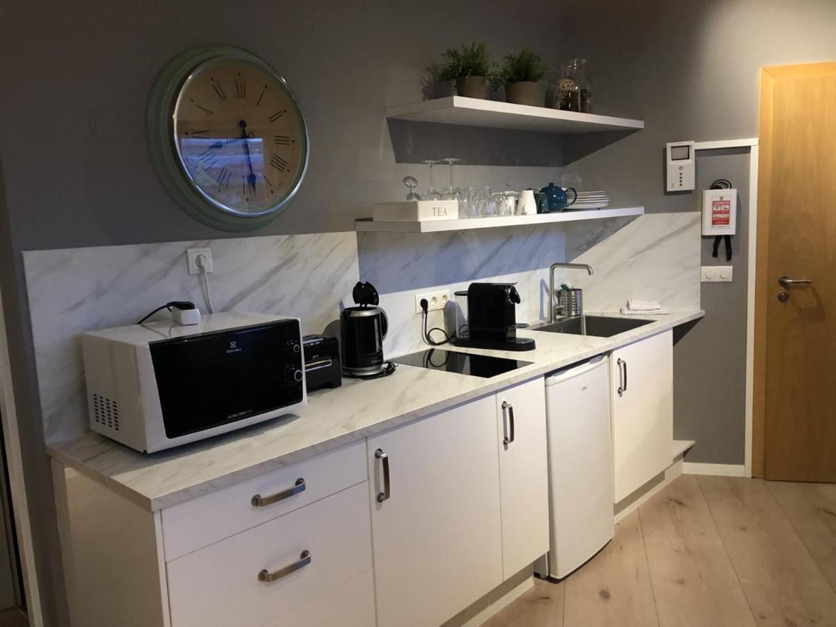 Skolo Apartment Reykjavik