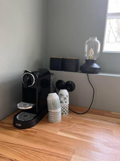 New Cozy Bohemian Dowtown Apartment