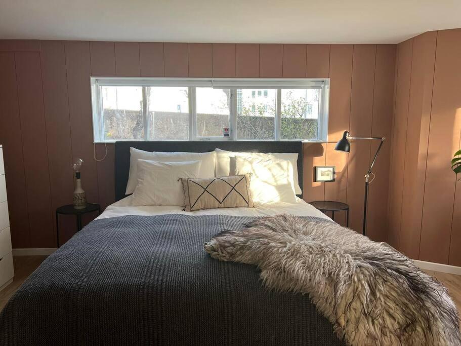 Apartment New Cozy Bohemian Dowtown *