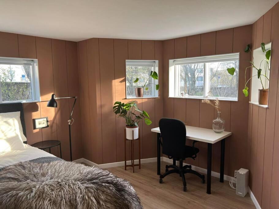 Apartment New Cozy Bohemian Dowtown Reykjavik