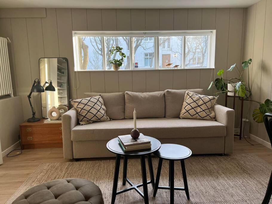 New Cozy Bohemian Dowtown