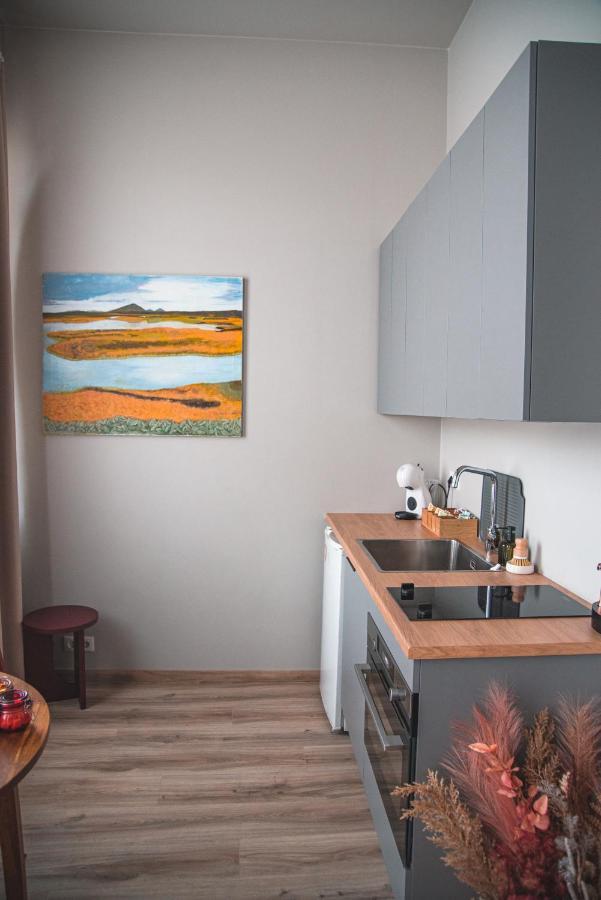 Cozy Studio By The City Centre * Reiquiavique