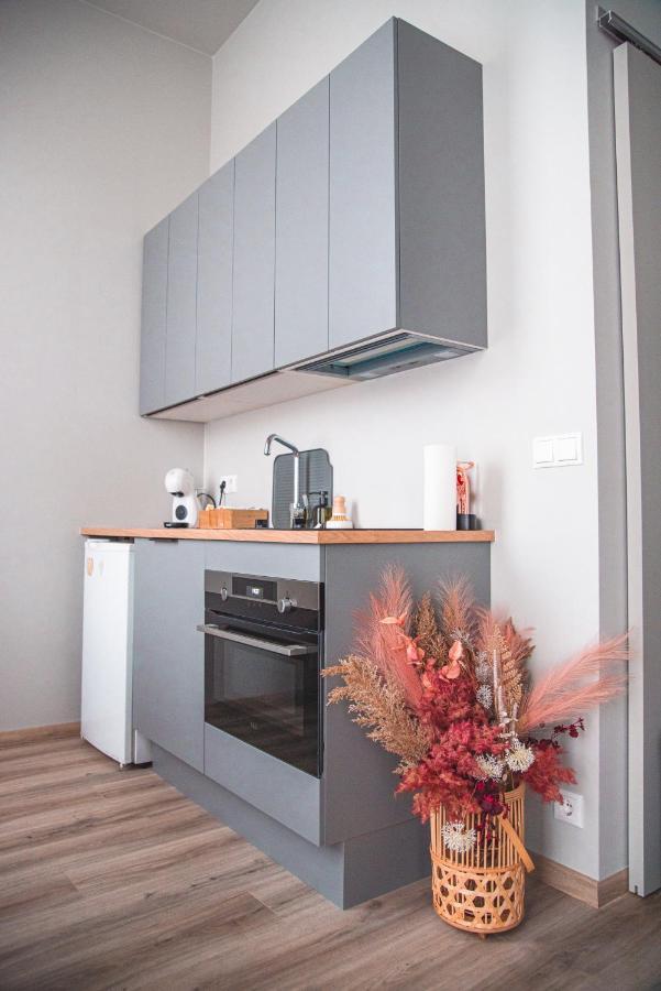 Cozy Studio By The City Centre * Reiquiavique