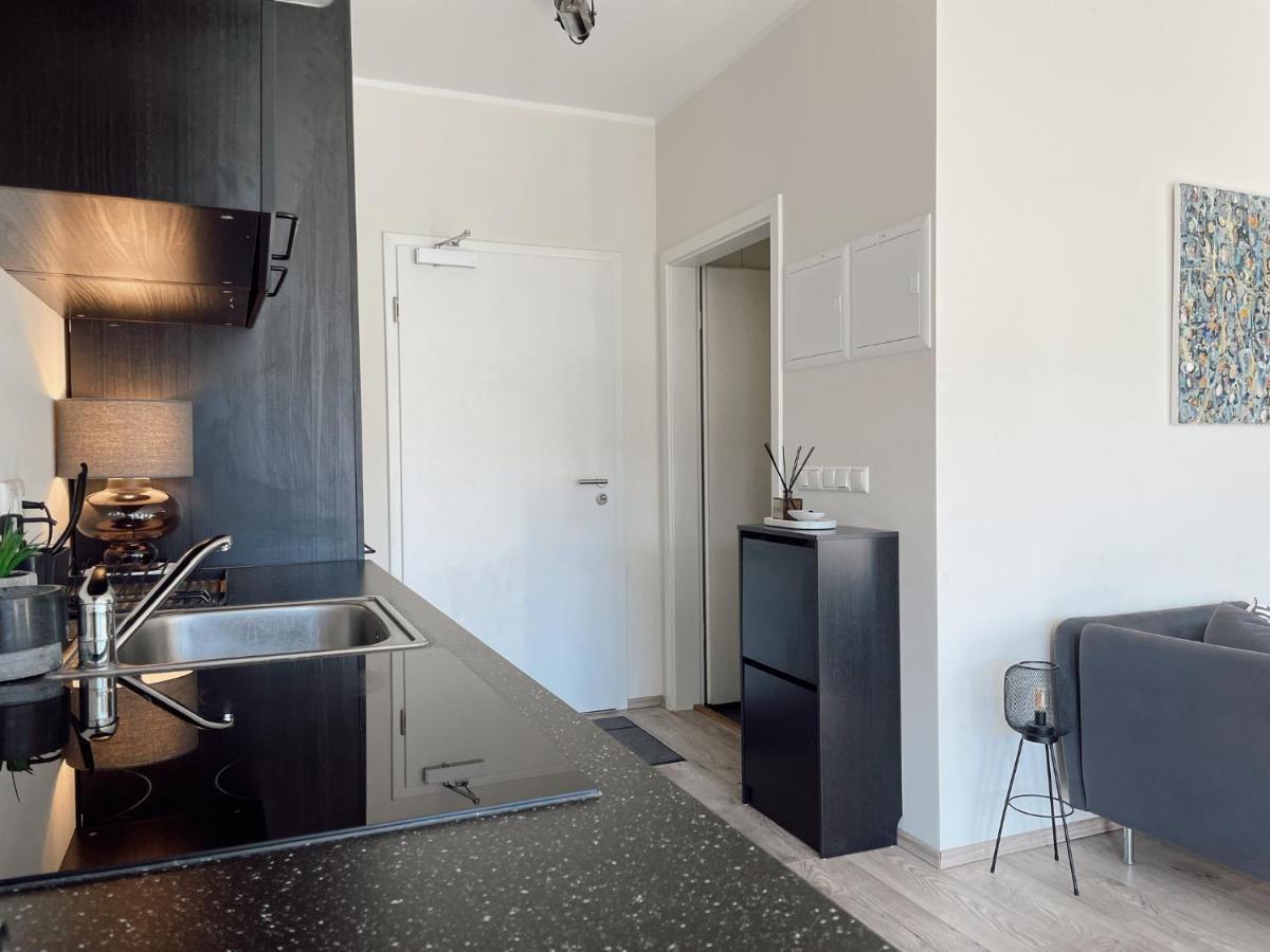 Apartment Centrally Located, Comfy, And Spacious Apartment. Reykjavik